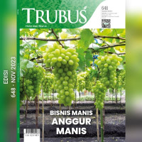 Image of TRUBUS 648, NOVEMBER 2023/LIV