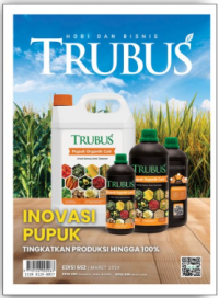 Image of TRUBUS 652, MARET 2024