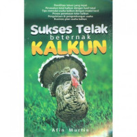 SUKSES TELAK BETERNAK KALKUN