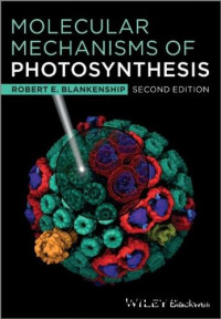 MOLECULAR MECHANISMS OF PHOTOSYNTHESIS SECOND EDITION