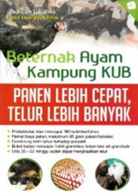 BETERNAK AYAM KAMPUNG KUB PANEN LEBIH CEPAT, TELUR LEBIH BANYAK