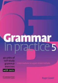 GRAMMAR IN PRACTICE 5