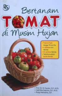 BERTANAM TOMAT DI MUSIM HUJAN