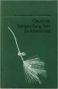 CASUARINAS: NITROGEN-FIXING TREES FOR ADVERSE SITES