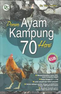 PANEN AYAM KAMPUNG 70 HARI