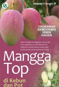 MANGGA TOP DI KEBUN DAN POT