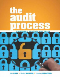 THE AUDIT PROCESS: PRINCIPLES, PRACTICE AND CASES