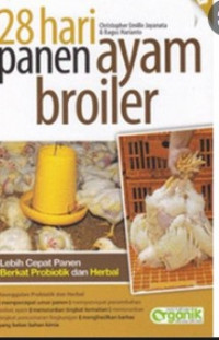 28 HARI PANEN AYAM BROILER