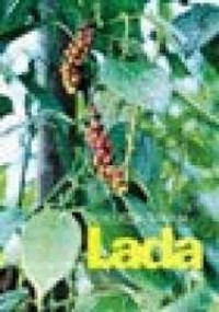 BERCOCOK TANAM LADA