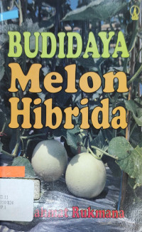 BUDIDAYA MELON HIBRIDA