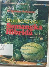 BUDIDAYA SEMANGKA HIBRIDA