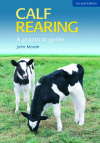 CALF REARING : A PRACTICAL GUIDE