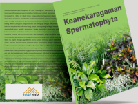 Image of KEANEKARAGAMAN SPERMATOPHYTA