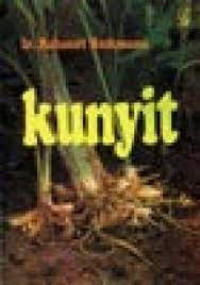 Kunyit