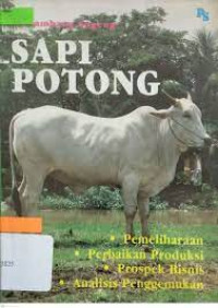 SAPI POTONG