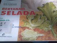 SERI PEDESAAN BERTANAM SELADA